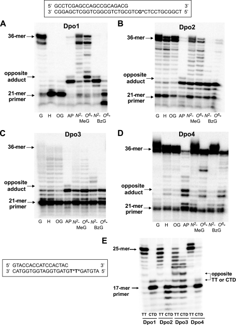 FIGURE 12.