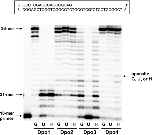 FIGURE 13.