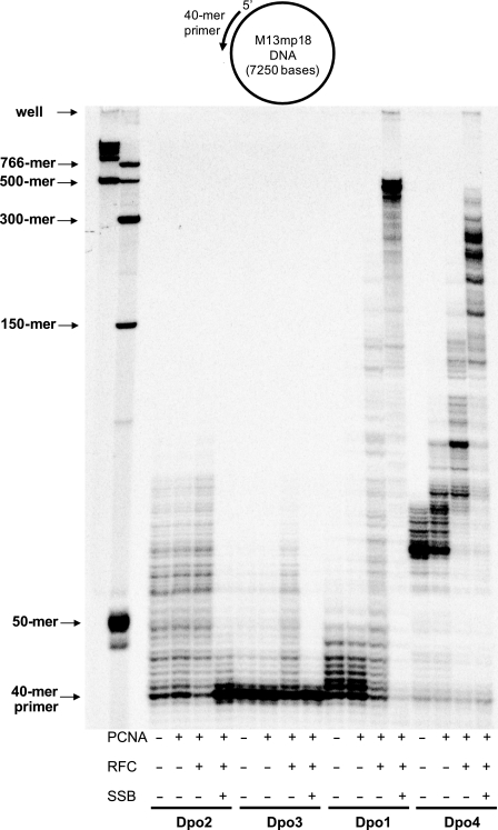 FIGURE 11.