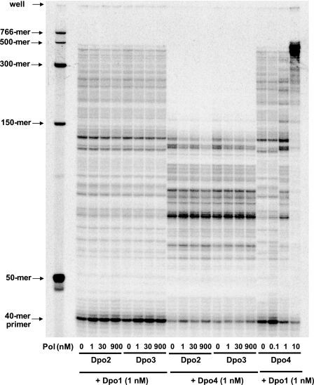 FIGURE 14.