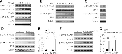 FIG. 6.