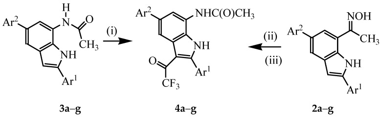 Scheme 2