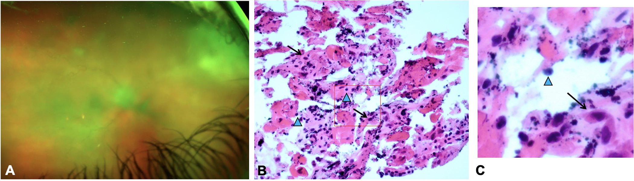 Figure 3.