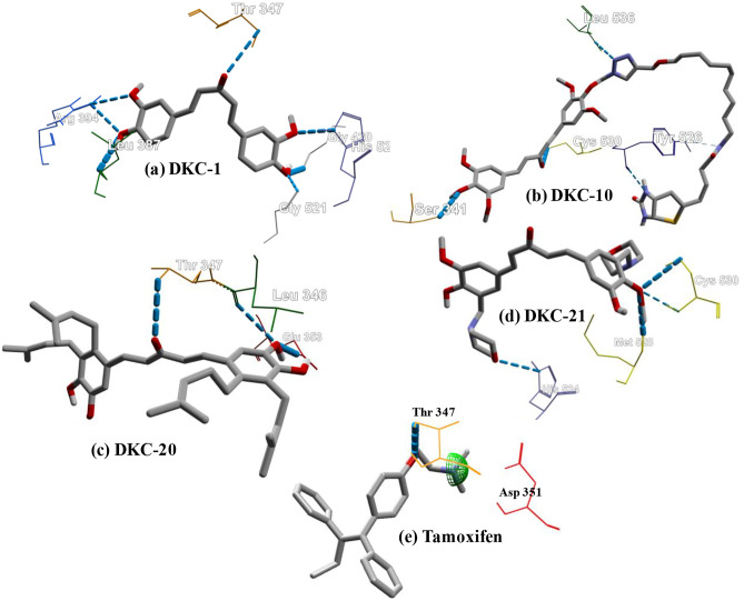 Fig. 7