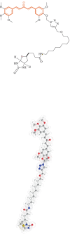 graphic file with name 11224_2021_1871_Figj_HTML.gif