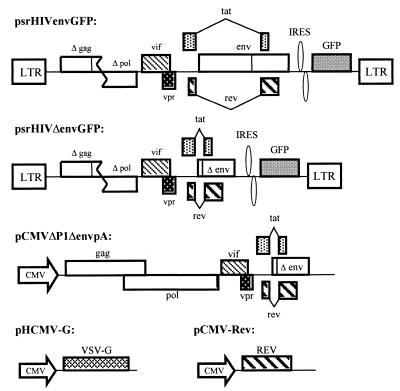 FIG. 1