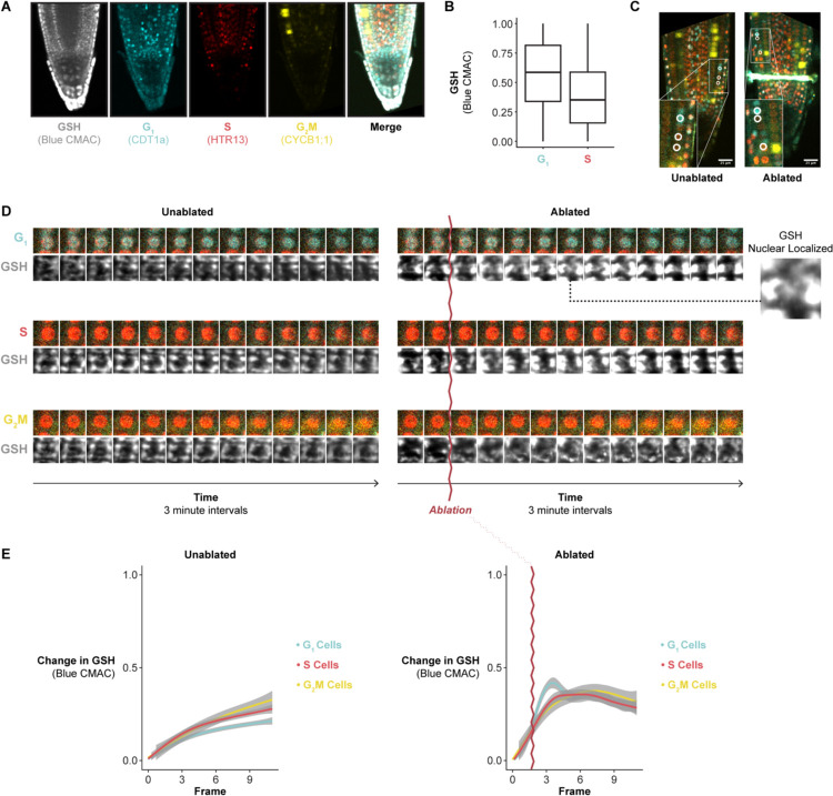 Figure 4: