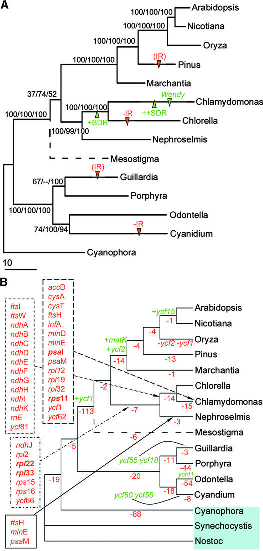 Figure 5.