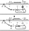 Fig. 8.