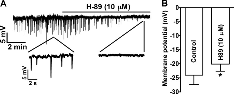 Fig. 6.