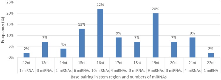 Figure 10.