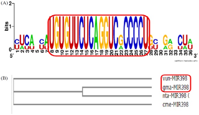 Figure 11.