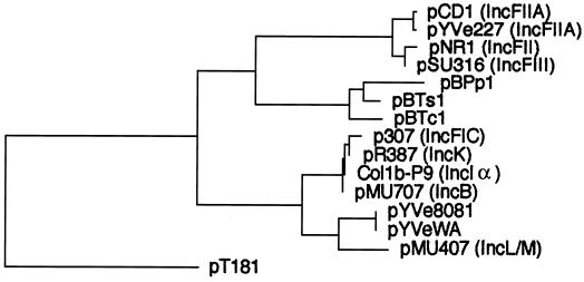 FIG. 6