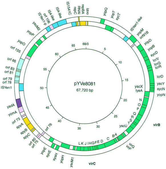 FIG. 1