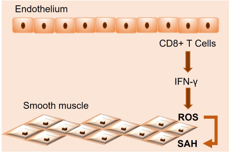 Fig. (2)