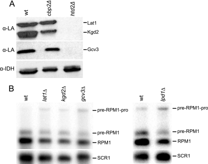 FIG. 7.