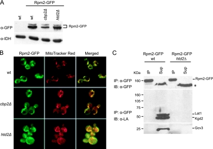 FIG. 8.