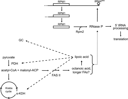 FIG. 9.