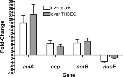 FIG. 1.