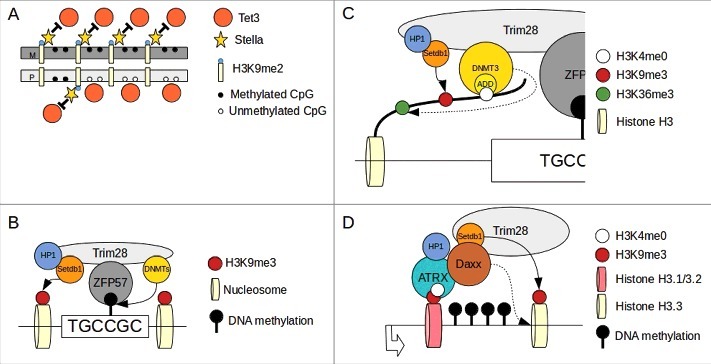 Figure 2.