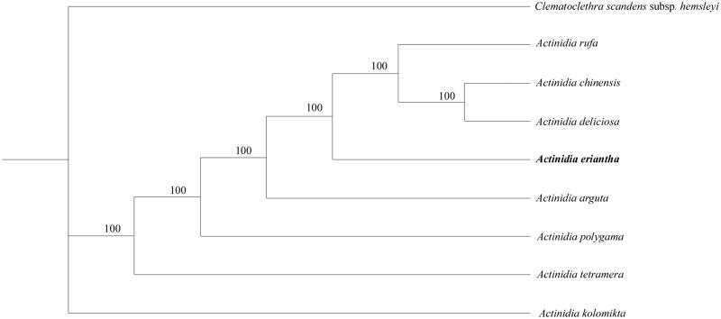 Figure 1.