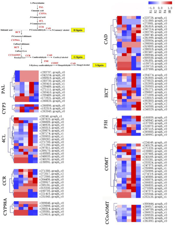 Fig 6