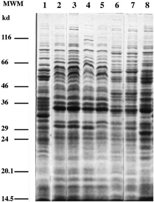 FIG. 8.