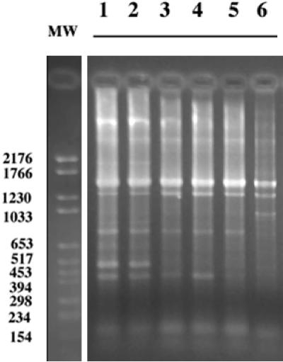 FIG. 9.