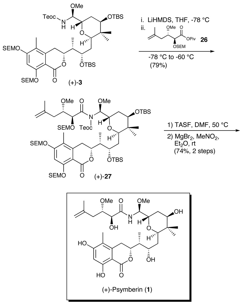 Scheme 7