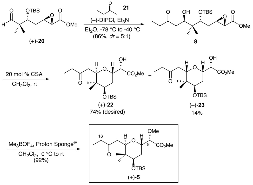 Scheme 5