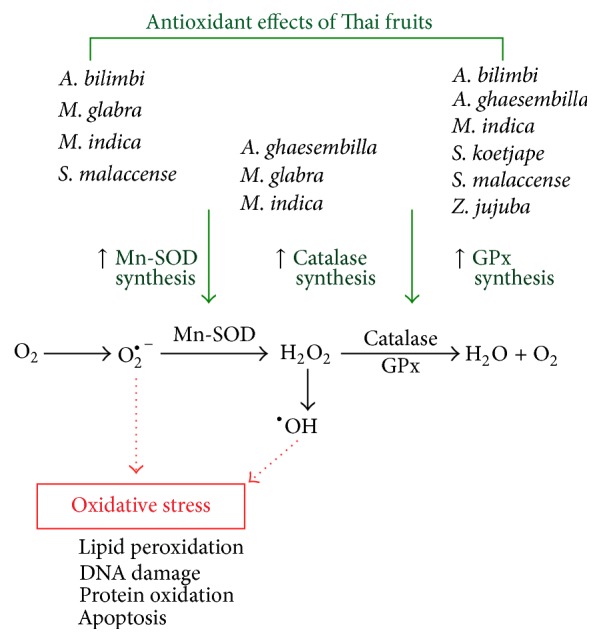 Figure 7