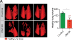 Figure 4—figure supplement 1.