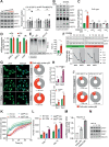 Figure 2—figure supplement 1.