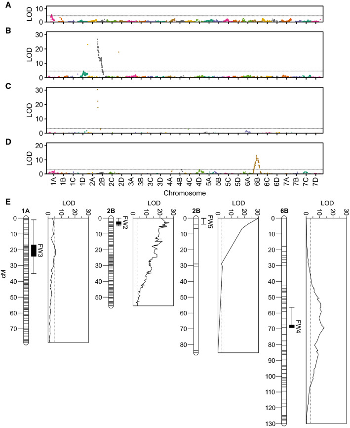 Fig. 6