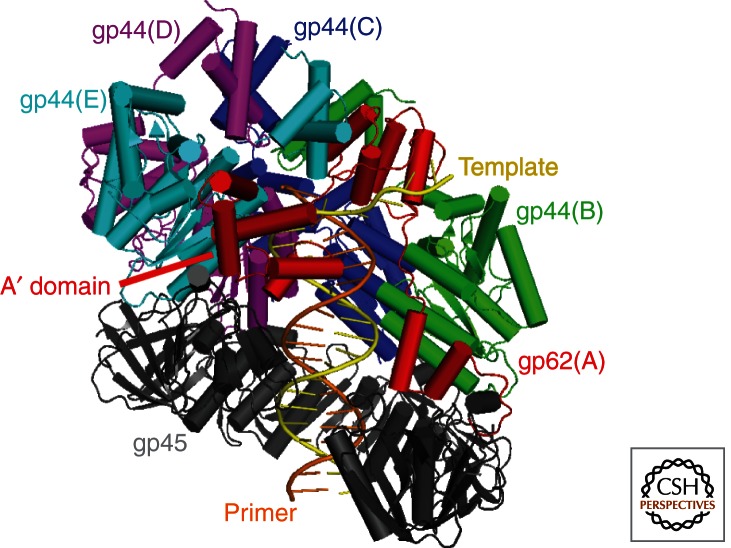 Figure 5.