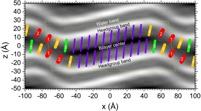 Fig. 9