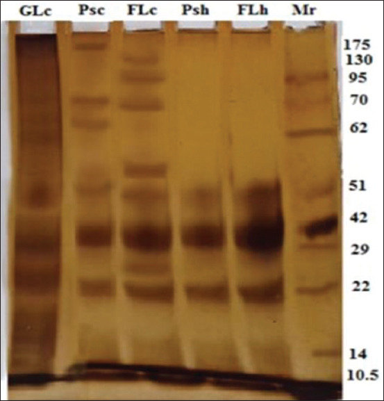 Figure-5