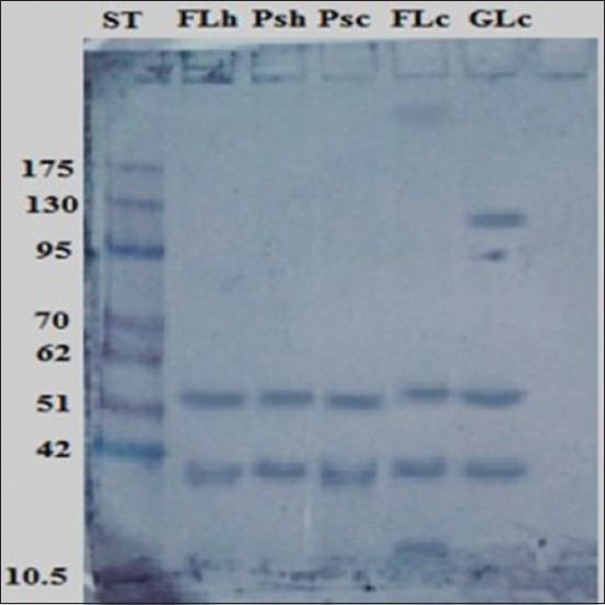 Figure-6