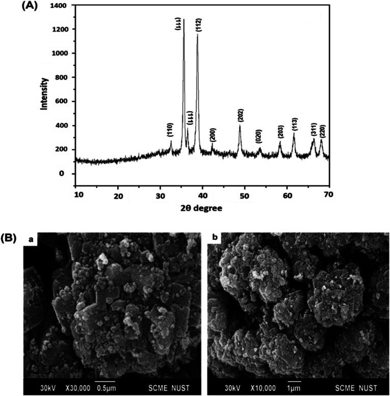 Fig. 3