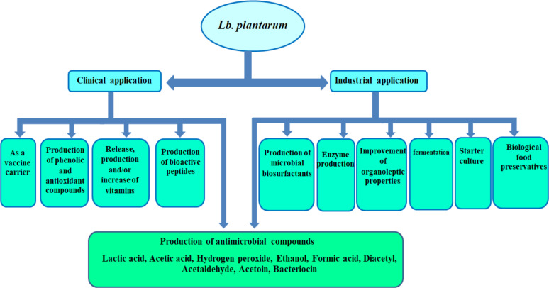 Fig. 2: