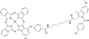 Fig. 19