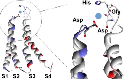 FIGURE 5.