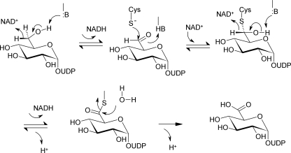 SCHEME 1.