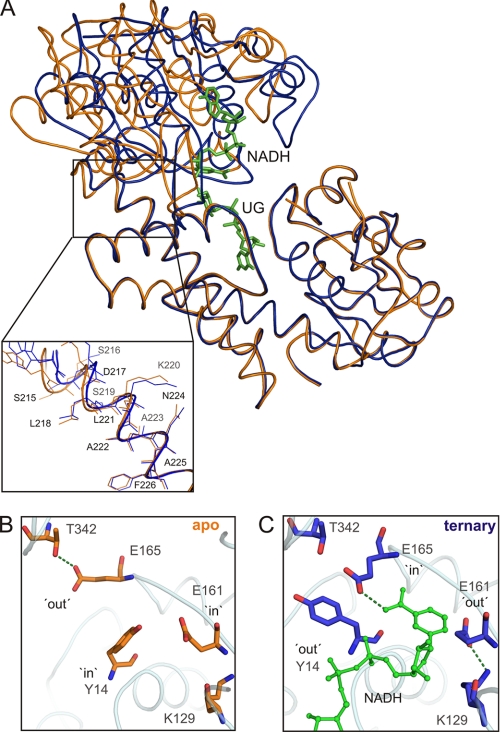 FIGURE 4.