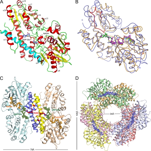 FIGURE 1.