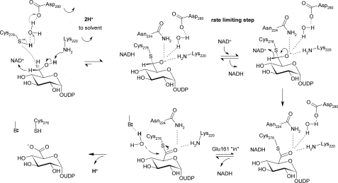 SCHEME 2.