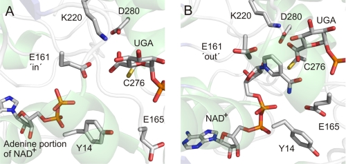 FIGURE 6.