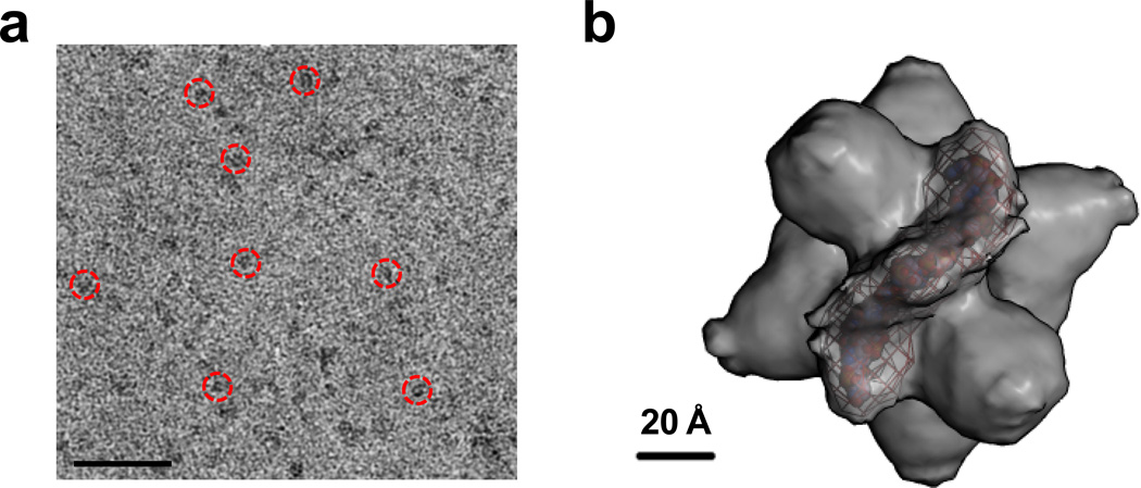 Figure 7