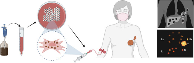 graphic file with name nihms-1832524-f0001.jpg