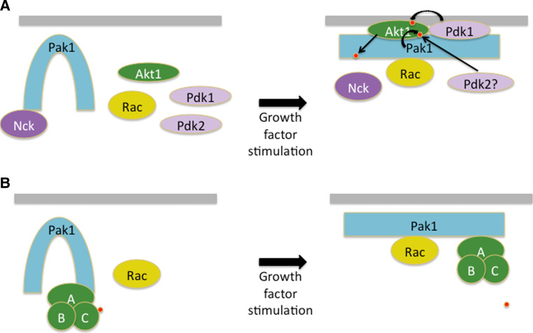 Fig. 3